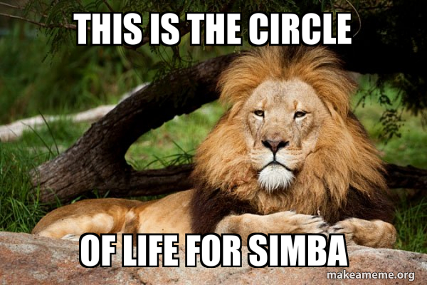 Contemplative Lion meme