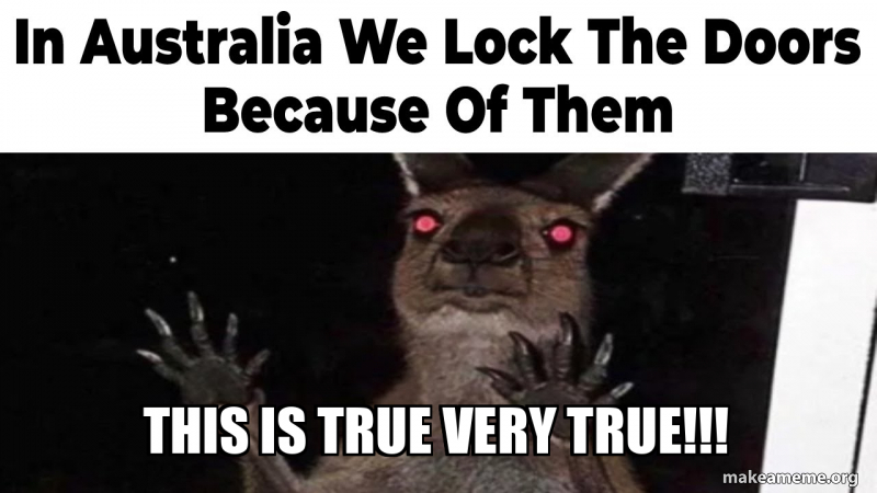 this is true very true!!! Meme Generator