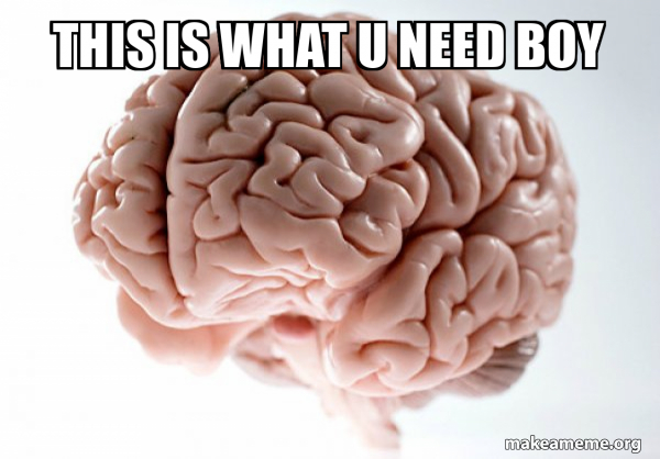 Scumbag Brain meme