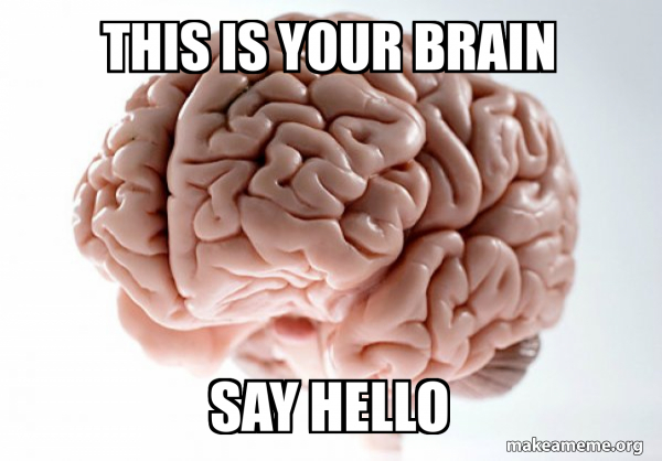 Scumbag Brain meme