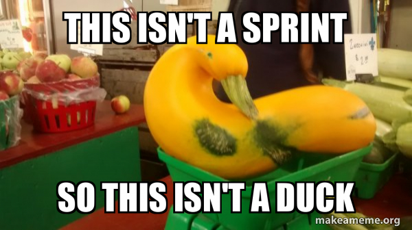 Gourd Advice Mallard meme