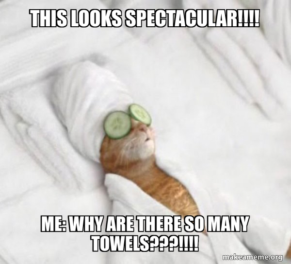 Pampered Cat Meme meme