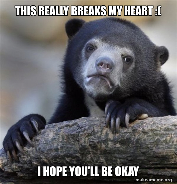 Confession Bear meme