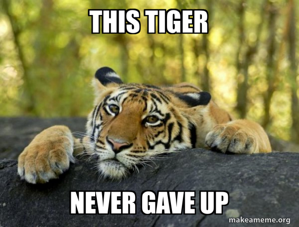 Confession Tiger meme