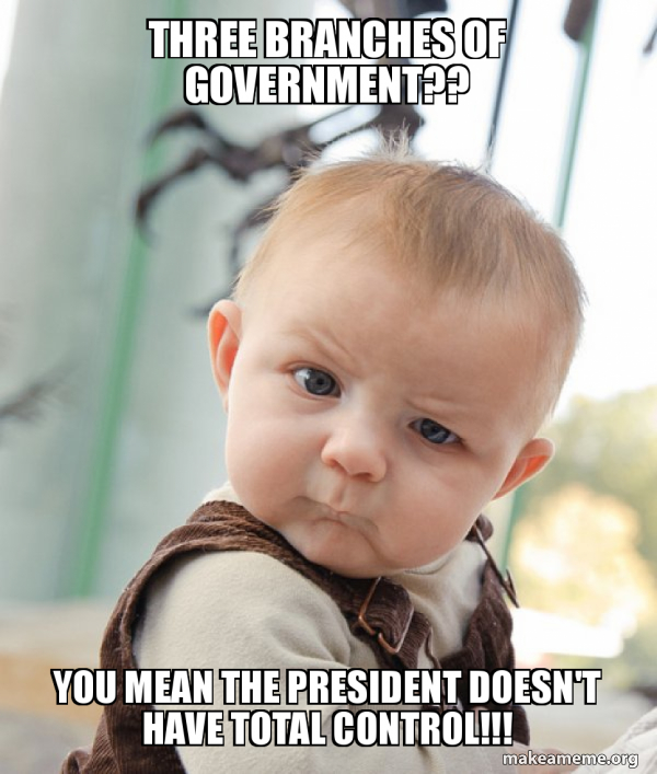 Government Process Meme Three branches of government?? You mean the President doesn't have ...