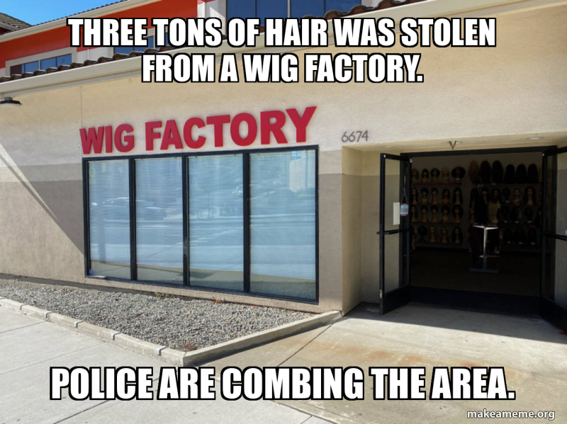 Combing Meme Three tons of hair was stolen from a wig factory. Police are combing ...