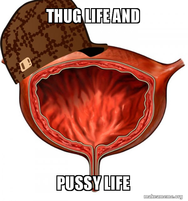 Scumbag Bladder meme