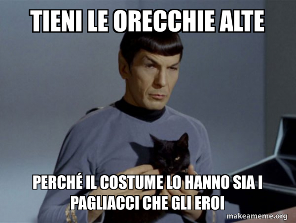 Spock and Cat Meme meme