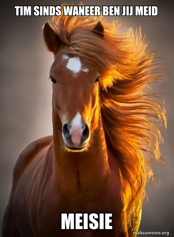 Ridiculously photogenic horse meme