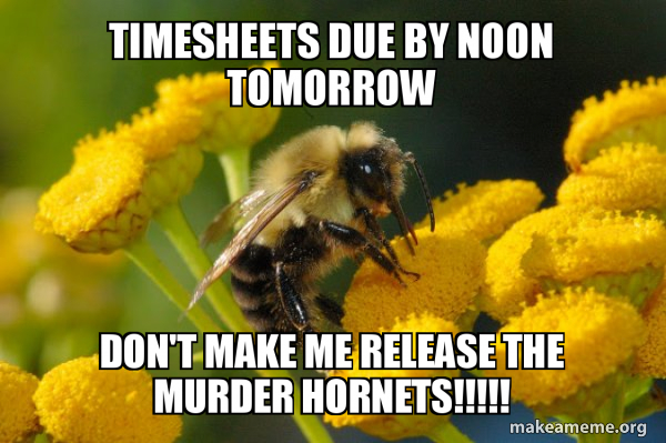 Good Guy Bee meme