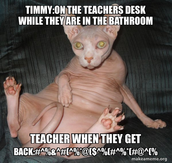 Hairless Cat meme