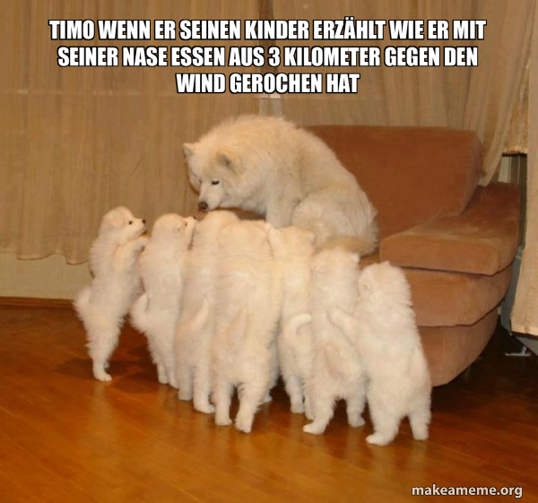 Storytelling Dog meme