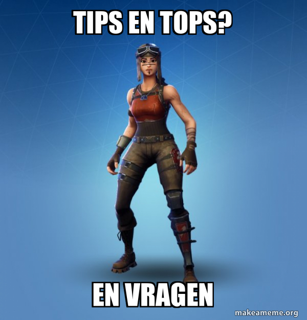 Renegade Raider Fortnite Skin meme