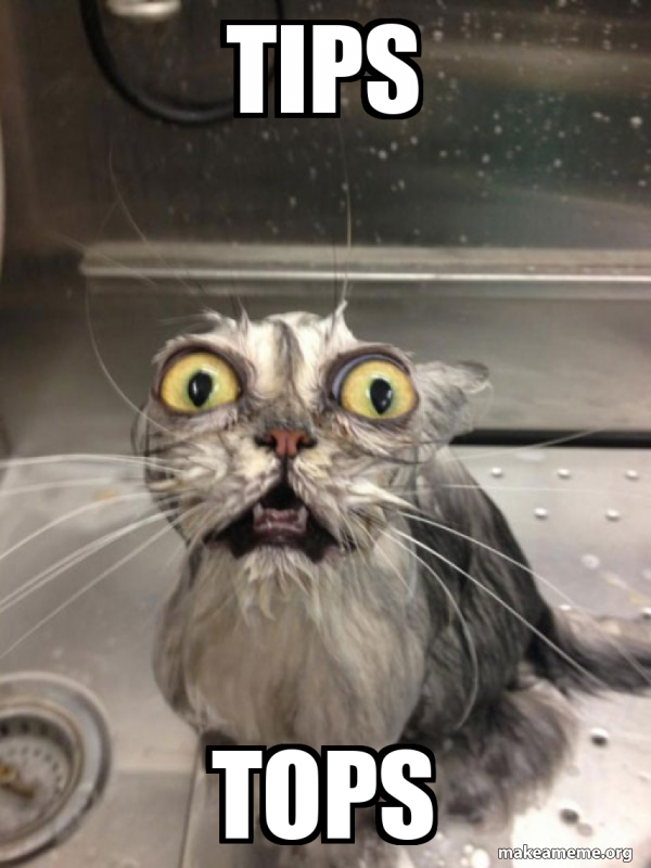 How's Tips Meme tips tops - Cat bath Meme Generator