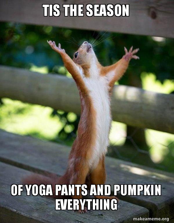Tis The Season Of Yoga Pants And Pumpkin Everything Happy Squirrel Make A Meme