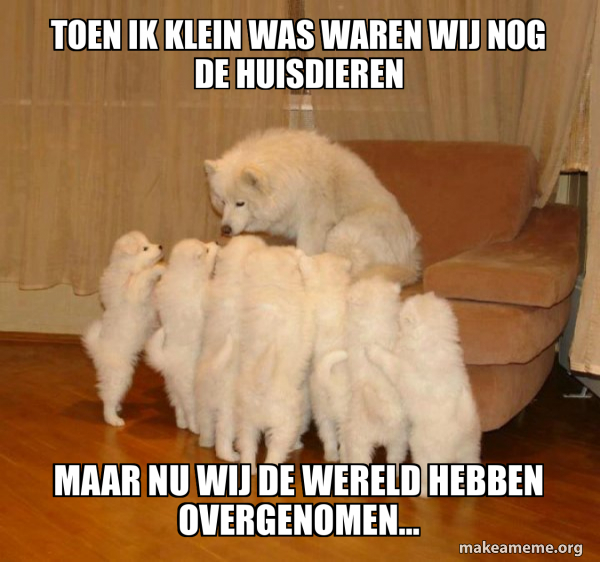 Storytelling Dog meme
