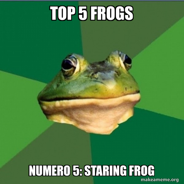 Foul Bachelor Frog meme