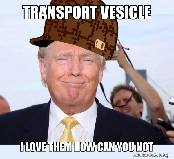 Scumbag Donald Trump meme