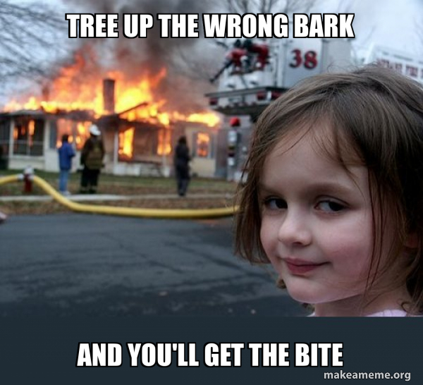 Exploding Tree Risk Meme tree up the wrong bark and you'll get the bite - Disaster Girl Meme ...