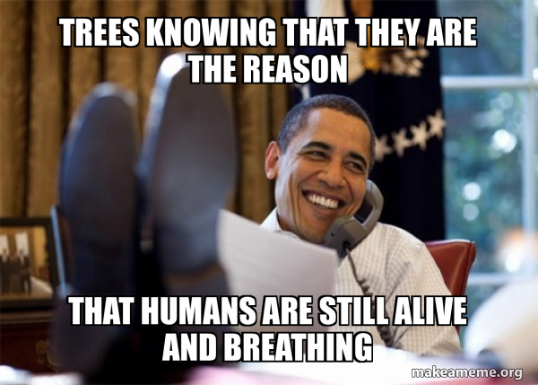Happy Obama Meme meme