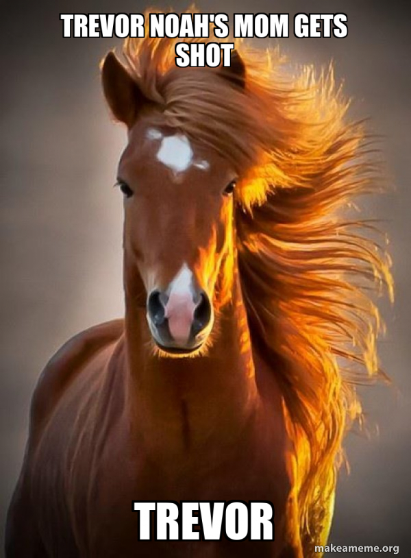 Ridiculously photogenic horse meme