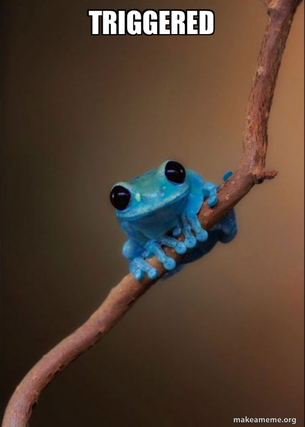 TRIGGERED - Small Fact Frog Meme Generator