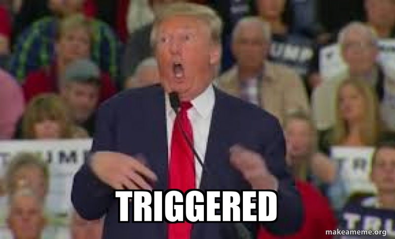 Triggered Meme Generator
