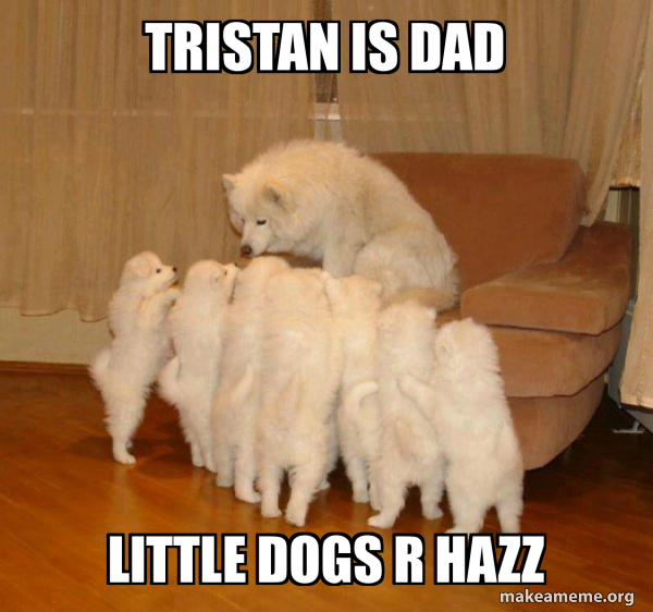Storytelling Dog meme