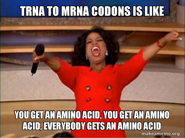tRNA to mRNA codons is like You get an amino acid, You get an amino ...