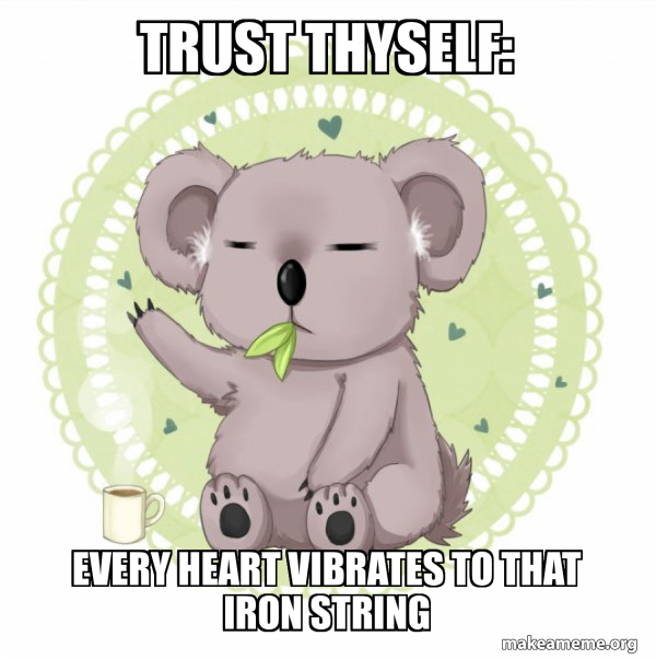 Aussie Koala doing the night shift meme