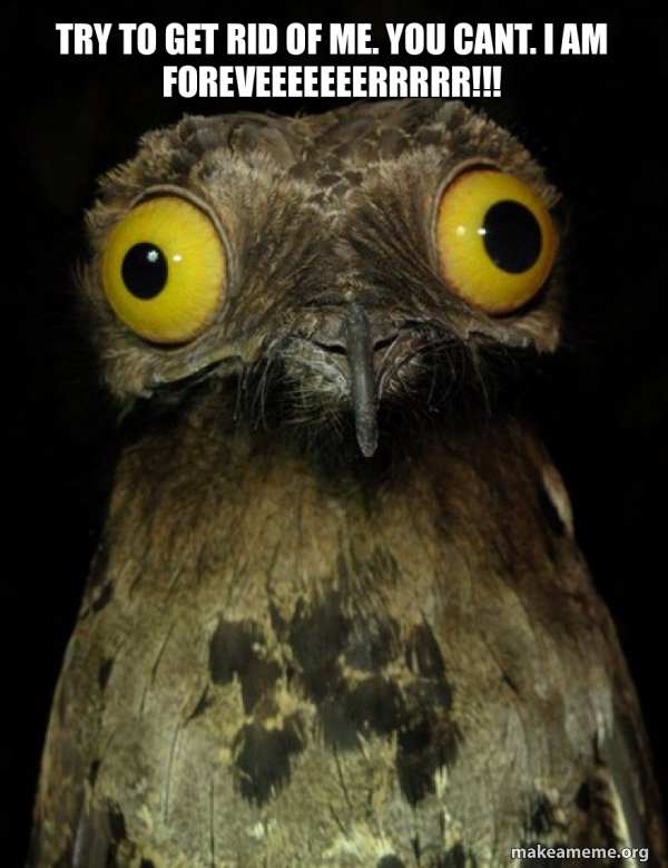 Try to get rid of me. You cant. I am foreveeeeeeerrrrr!!! - Weird Stuff ...