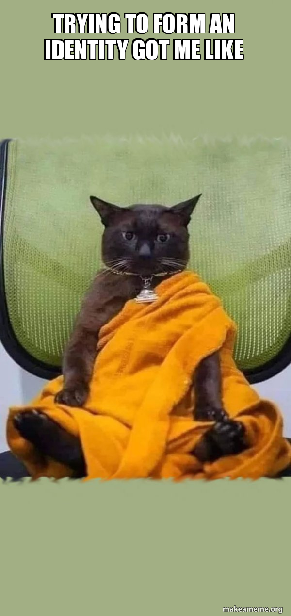 Zen Cat meme