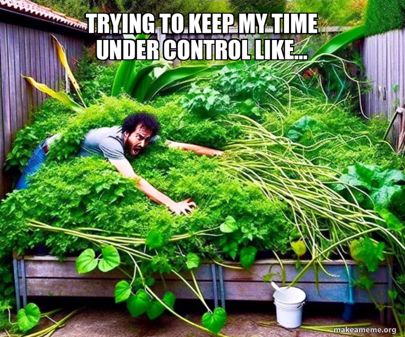 Trying To Keep My Time Under Control Like Meme Generator 