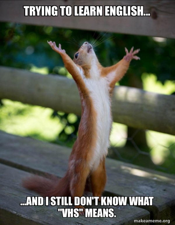 Happy Squirrel meme