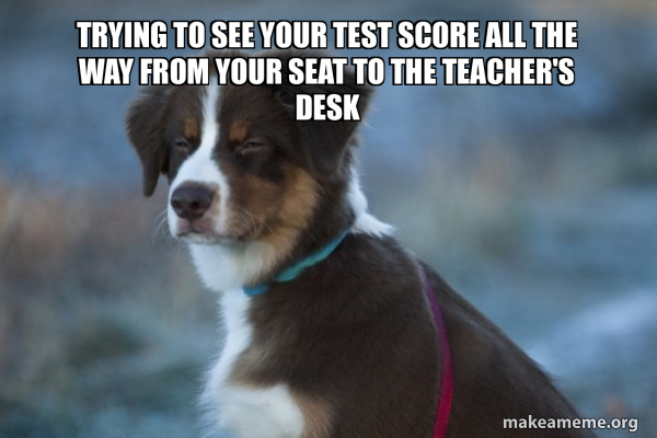 Unsure Dog meme