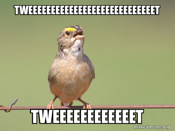 Common Opinion Sparrow meme