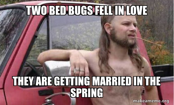Two bed bugs fell in love They are getting married in the spring ...