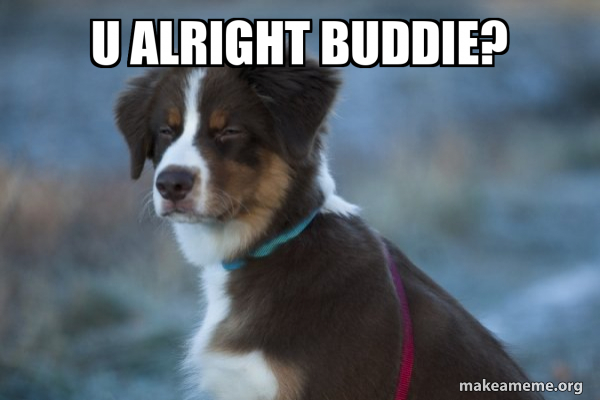 Unsure Dog meme