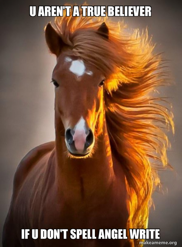 Ridiculously photogenic horse meme