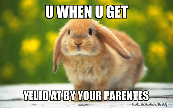 Regretful Rabbit meme