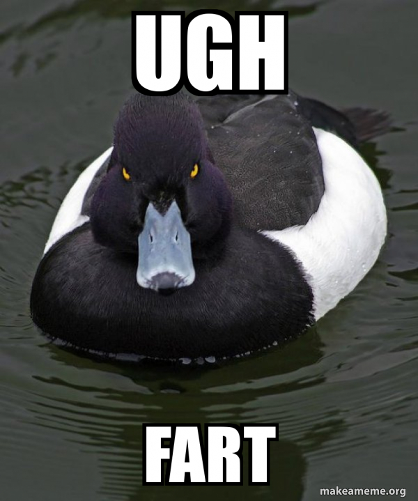 Revenge Duck ( Angry Advice Duck ) meme