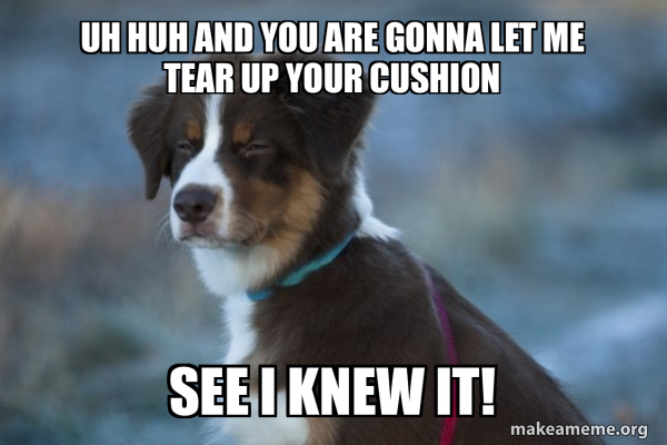 Unsure Dog meme