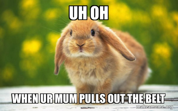 Regretful Rabbit meme