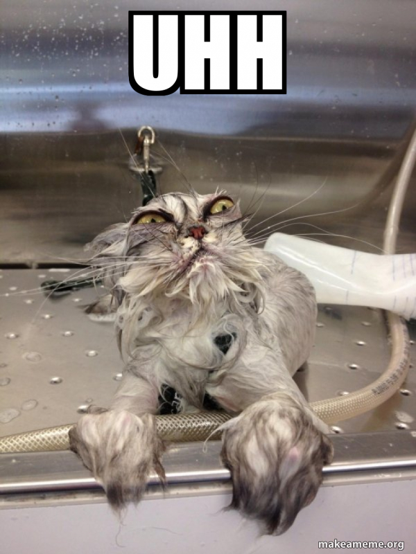 uhh Cat Bath Returns Meme Generator