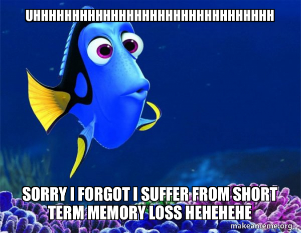 Dory from Nemo  (5 second memory) meme