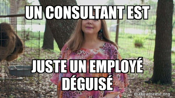 Carole Baskins (Carol ?) meme