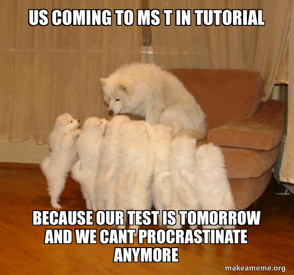 Storytelling Dog meme