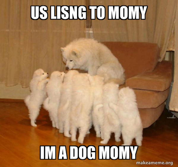 Storytelling Dog meme
