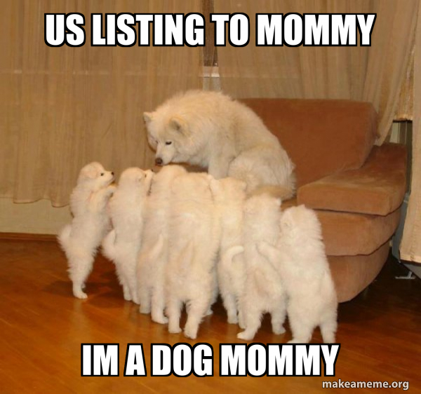 Storytelling Dog meme