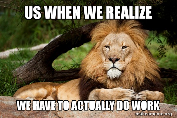 Contemplative Lion meme